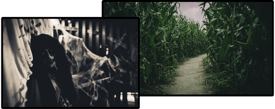 A picture of some specter and another of a corn maze